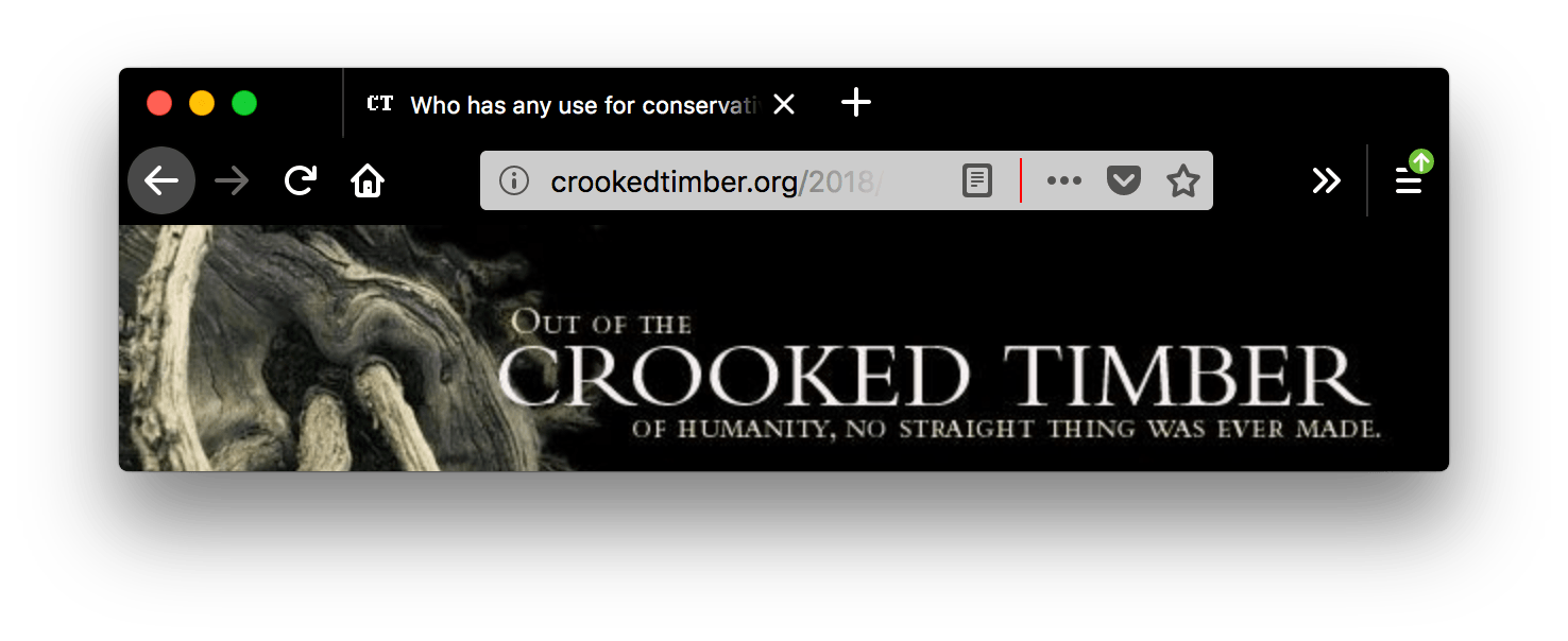 Ein Screenshot eines Browserfensters mit einem geöffneten Tab. Die Firefox-Benutzeroberfläche ist schwarz. Die Tabs und die URL-Leiste sind schwarz mit weißem Text und weißen Symbolleisten. Innerhalb des weißen URL-Felds, nach dem Lesemodus-Symbol ein roter vertikaler Trennstrich, der die restlichen Symbole der URL-Leiste trennt. Die Farbe der vertikalen Trennlinie im URL-Feld ist rot.