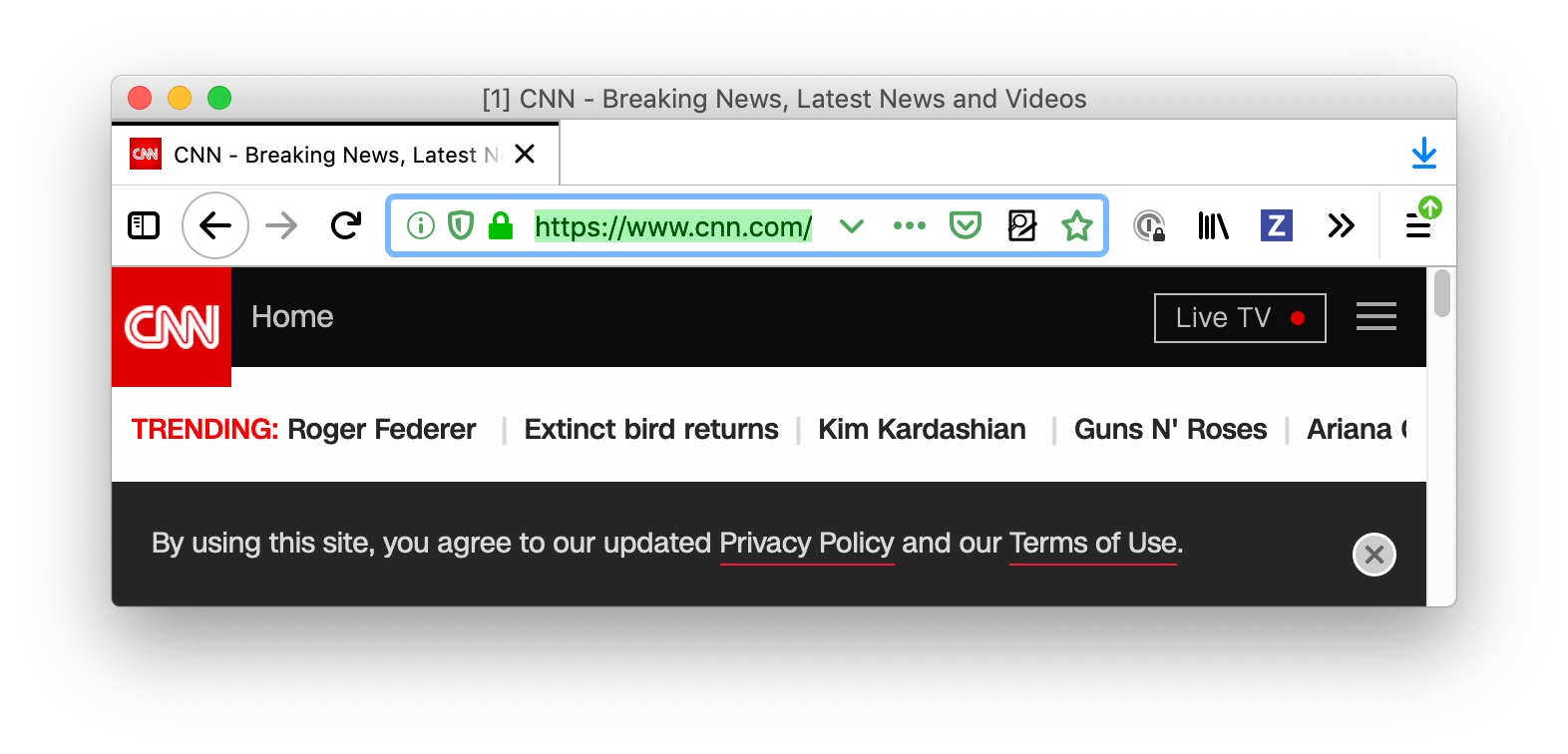 Die Firefox-Benutzeroberfläche ist weiß. Die Tabs und die URL-Leiste sind weiß mit Text und Symbolen in schwarz. Das URL-Feld ist fokussiert und blau umrahmt und der Text im URL-Feld ist ausgewählt.