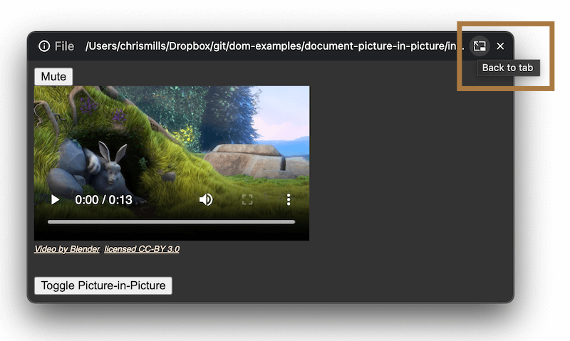 Browserfenster mit einem eingebetteten Videoplayer und mehreren Steuerknöpfen, mit einem durch ein rotes Kästchen hervorgehobenen „Zurück zum Tab“-Knopf in der oberen Leiste